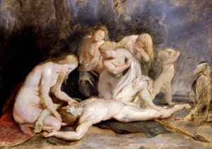 Venus sørger over Adonis